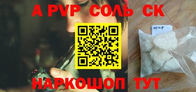 индика Кингисепп