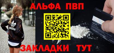 индика Кингисепп