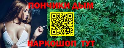 индика Кингисепп