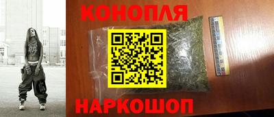 индика Кингисепп