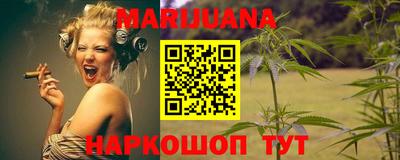 индика Кингисепп
