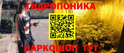индика Кингисепп