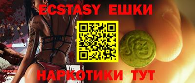 индика Кингисепп