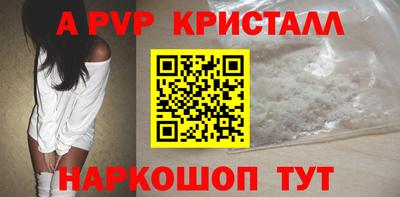 индика Кингисепп