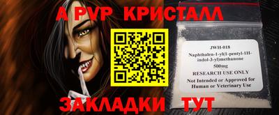 индика Кингисепп