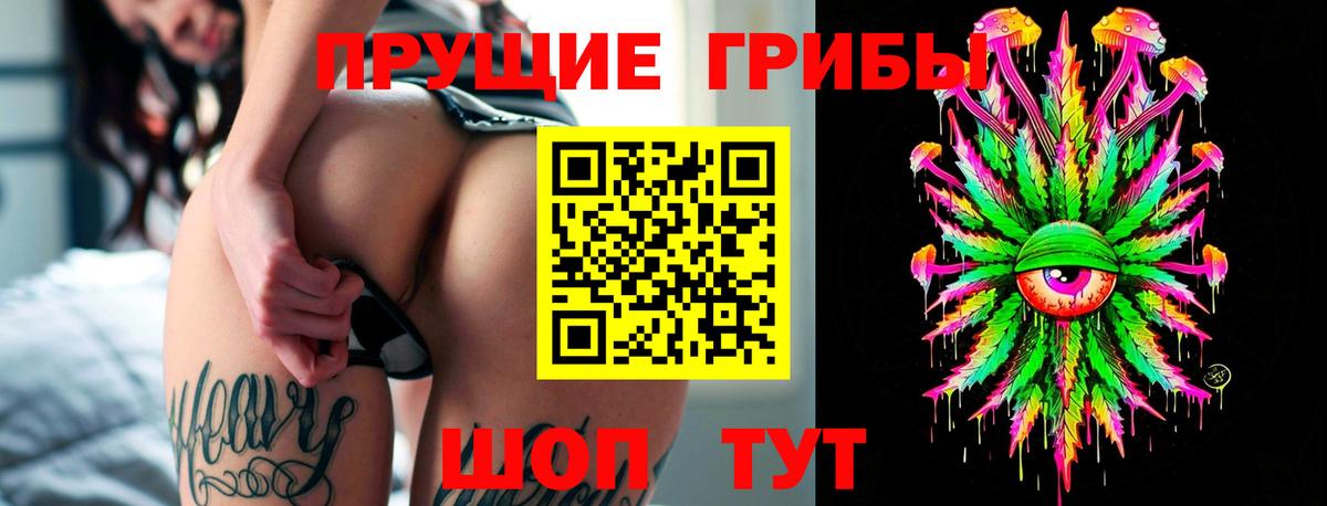 Галлюциногенные грибы ЛСД  Вход с VPN  Галлюциногенные грибы Psilocybe  Корсаков 
