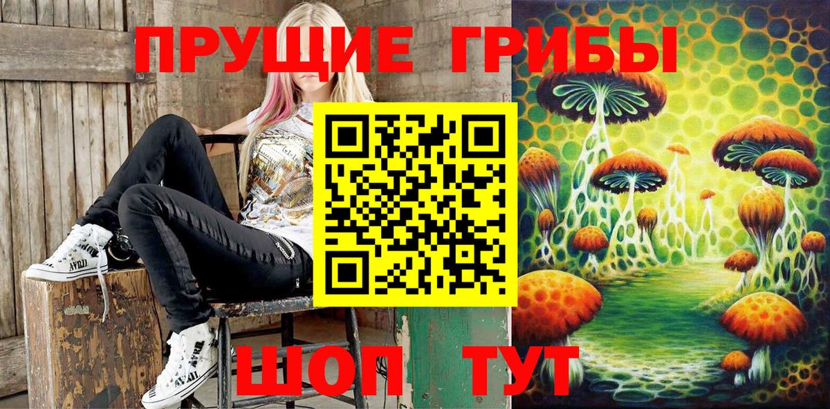 Галлюциногенные грибы мицелий Корсаков